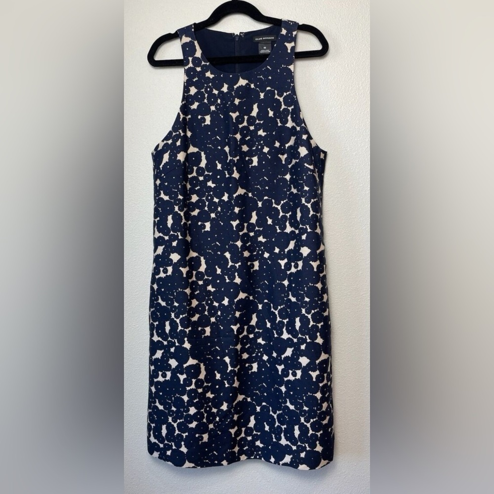 Club Monaco dress